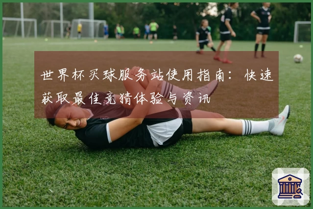 世界杯买球服务站使用指南：快速获取最佳竞猜体验与资讯