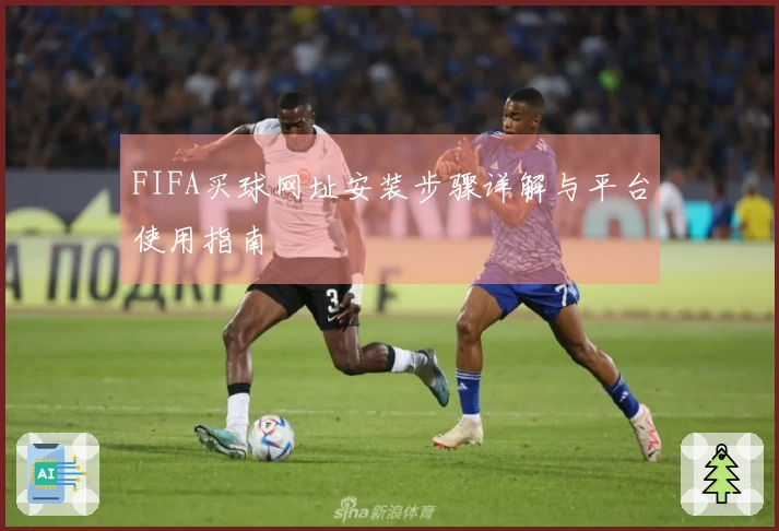 FIFA买球网址安装步骤详解与平台使用指南