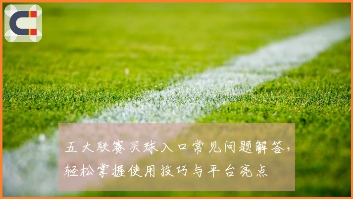 五大联赛买球入口常见问题解答，轻松掌握使用技巧与平台亮点