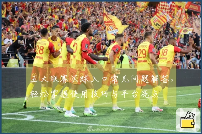 五大联赛买球入口常见问题解答，轻松掌握使用技巧与平台亮点